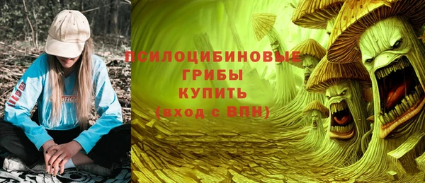 эйфоретик Богданович