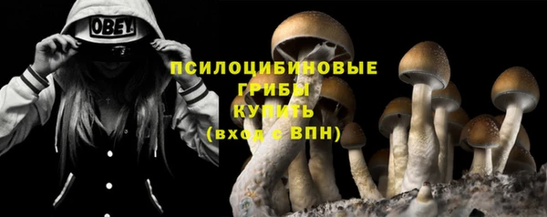 мяу мяу кристалл Богородицк