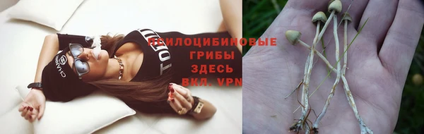 эйфоретик Богданович