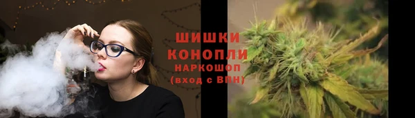 эйфоретик Богданович