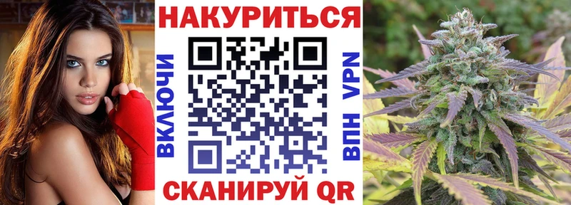 Канабис конопля  где найти   Шумиха 